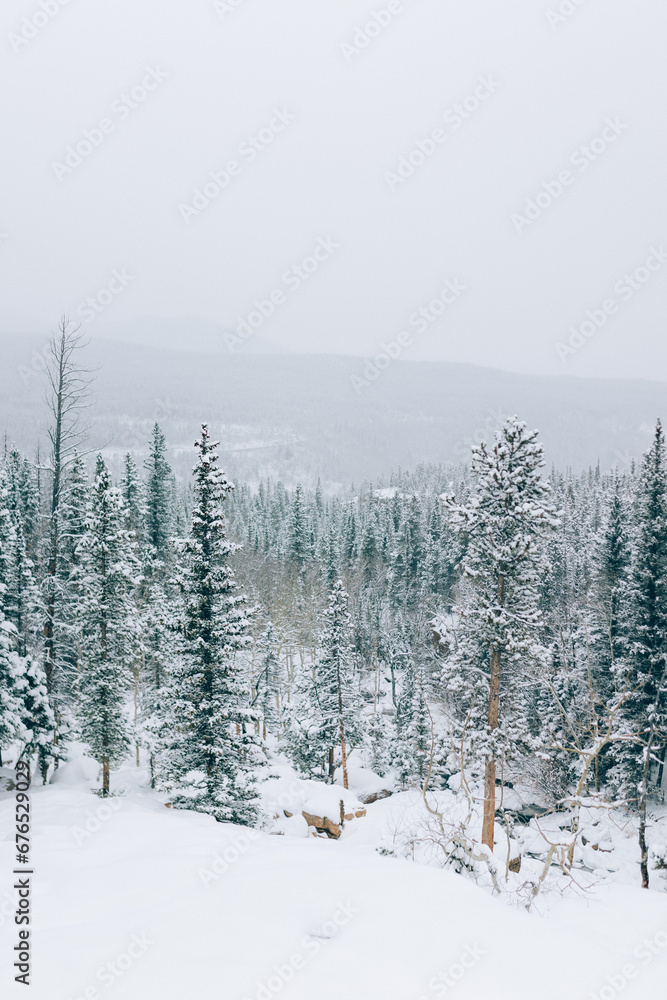 Obraz premium Beautiful snowy trees and mountains in the winter during sunset