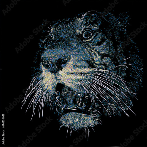  blue head of a tiger in front of black background