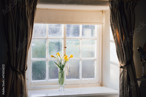 Vase of narcissus flowers placed by a window at home