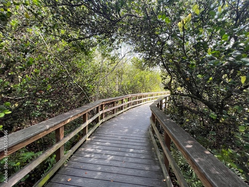 A walk bridge leading you through the dense over grown foliage of south Florida.