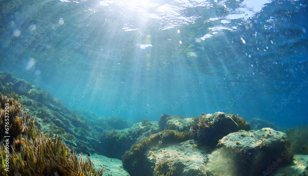 Fototapeta premium underwater sunlight through the water surface seen from a rocky seabed with algae generative ai