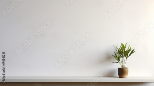 Blank Wall with Plant © Harper Took