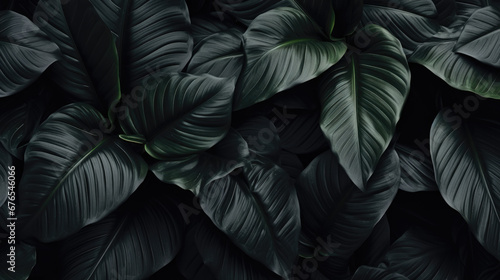 This image features abstract black leaves arranged to form a textured tropical background, blending dark and tropical elements. © ImageHeaven