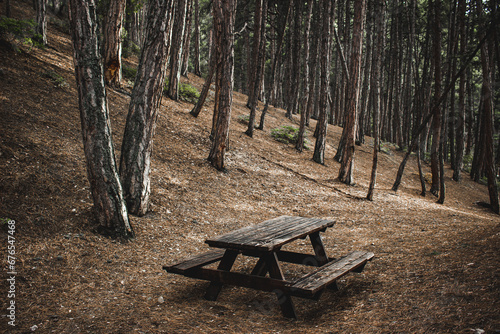 picnic table at the forest