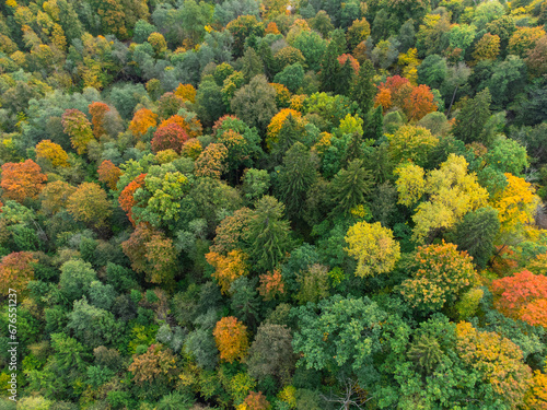Autumn Forest, Colorful Trees From Above, Aerial View