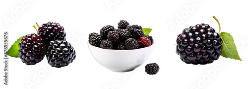 Fresh blackberries collage set with single fruit and in a bowl on isolated transparent background photo