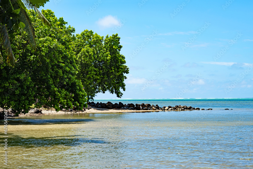 Trees border the Pacific Ocean on the island of Raiatea in French Polynesia.