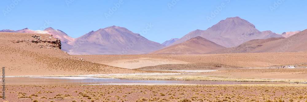 Bolivia, Avaroa National Park. Desert and mountain landscape with salt lakes and flamingos. In the foreground, Paja Bravas grass.