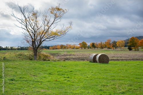 baloty słomy na polu, drzewa, kolory jesieni