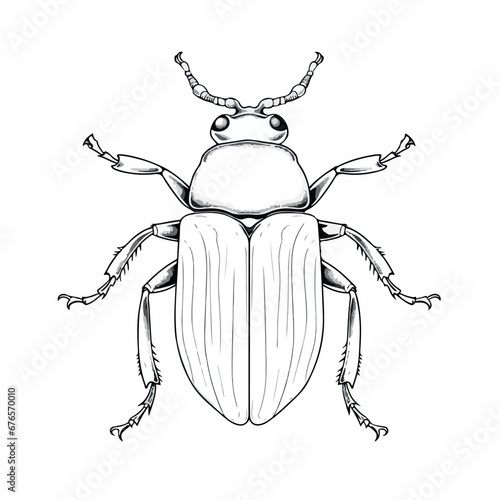 Beetle in cartoon, doodle style. 2d vector illustration in logo, icon style. AI Generative