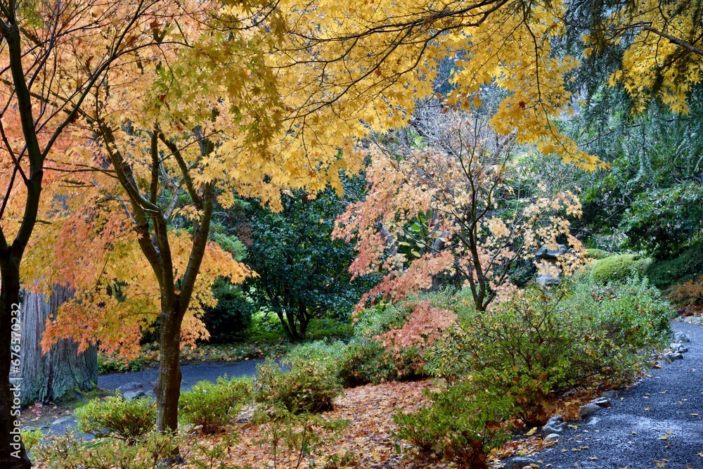Autumn park pathway with colourful fall tree leaves in landscaped urban natural setting