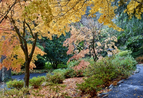 Autumn park pathway with colourful fall tree leaves in landscaped urban natural setting