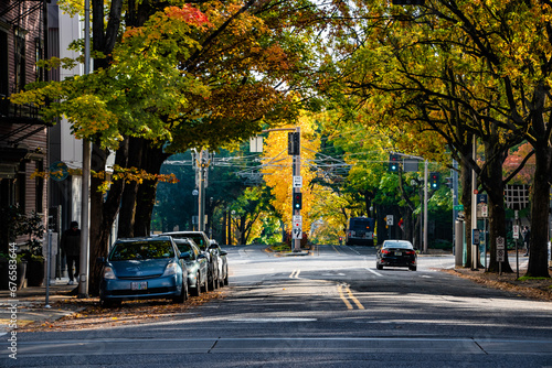 Colorful Fall Foliage Around Buildings and Street in Downtown Portland, OR