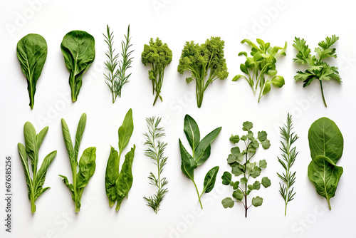 Collection of fresh herb leaves. arugula Spices, herbs on a white table
