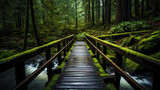 hiking trail crossing a wooden bridge over a bubbling stream, surrounded by dense forest, vibrant green moss and ferns