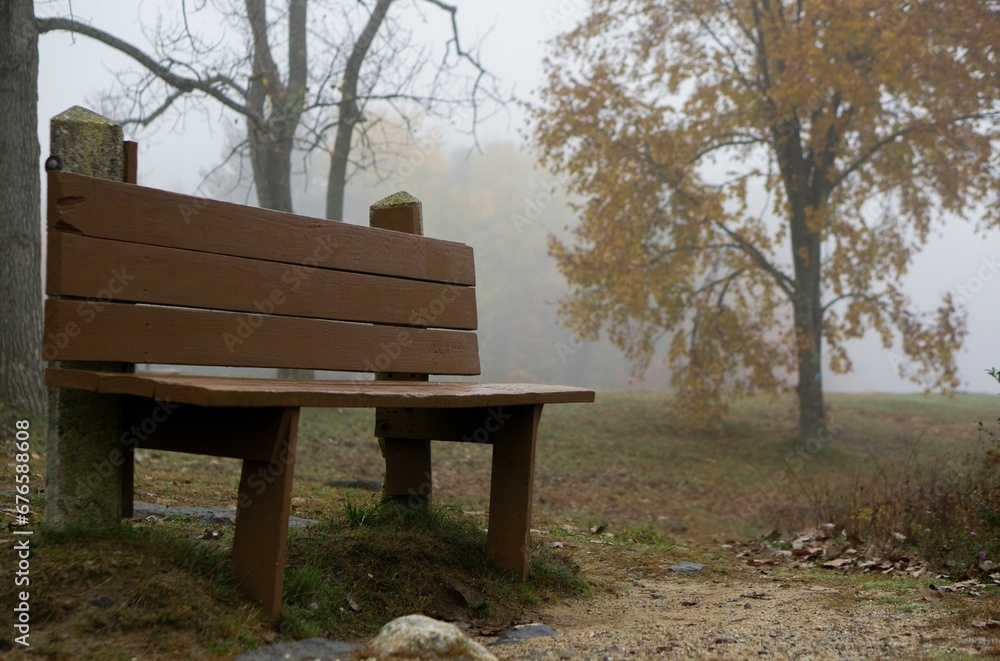 Empty wooden bench in a forest on a misty day Empty wooden bench in a forest on a misty day