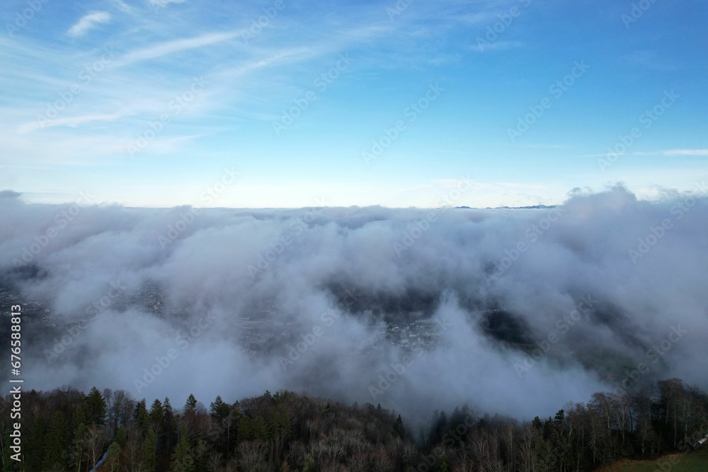 Closeup shot of a forest of evergreen trees covered in fog under the blue sky