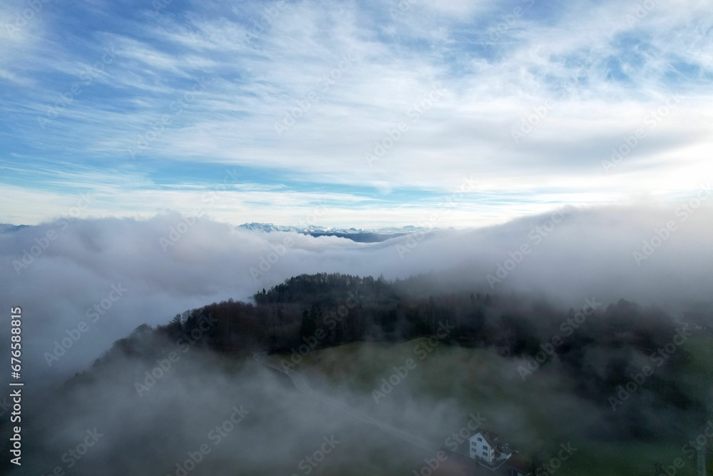 Aerial shot of a forest of evergreen trees and a house covered in fog under the blue sky