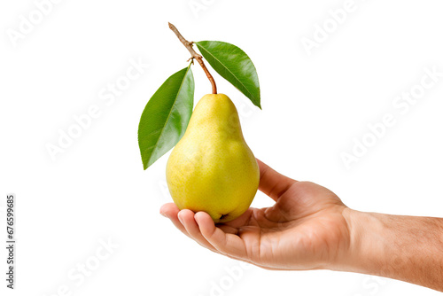 Hand holding pear over isolated transparent background