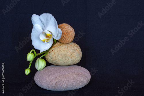 Canvas Print zen stones and flower