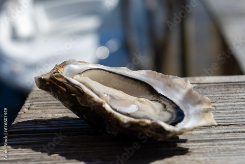 Eating of fresh live oysters at farm cafe in oyster-farming village, Arcachon bay, Cap Ferret peninsula, Bordeaux, France photo