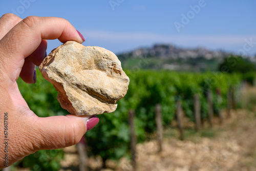 Example of terres blanches clay-limestone white soils on vineyards around Sancerre wine making village, rows of sauvignon blanc grapes on hills, Cher, Loire valley, France photo