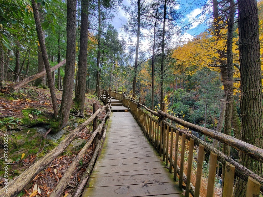 The view of the wooden walking trail surrounded by stunning fall foliage near Bushkill Falls, Pennsylvania, U.S.A The view of the wooden walking trail surrounded by stunning fall foliage near Bushkill Falls, Pennsylvania, U.S.A