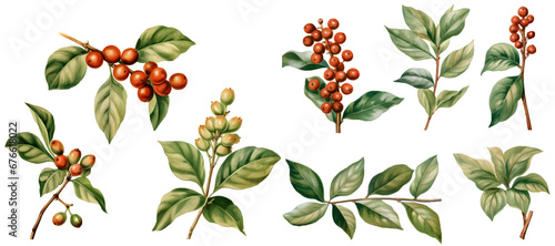 Coffee plant watercolor illustration clipart. Generative AI photo