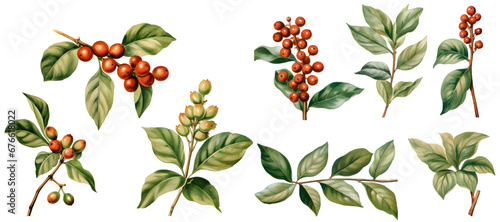 Coffee plant watercolor illustration clipart. Generative AI