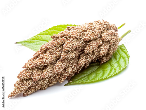 Quinoa seeds on white background.
