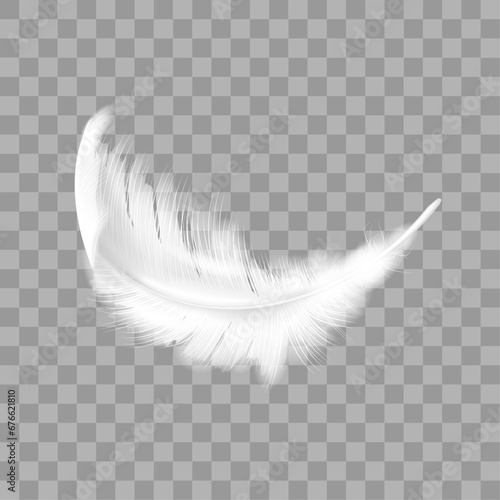 Vector white soft feathers on transparent background