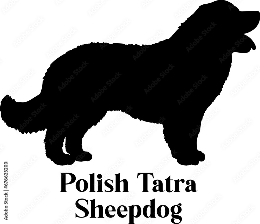 Polish Tatra Sheepdog Dog silhouette dog breeds logo dog monogram logo dog face vector
SVG PNG EPS Polish Tatra Sheepdog Dog silhouette dog breeds logo dog monogram logo dog face vector
SVG PNG EPS
