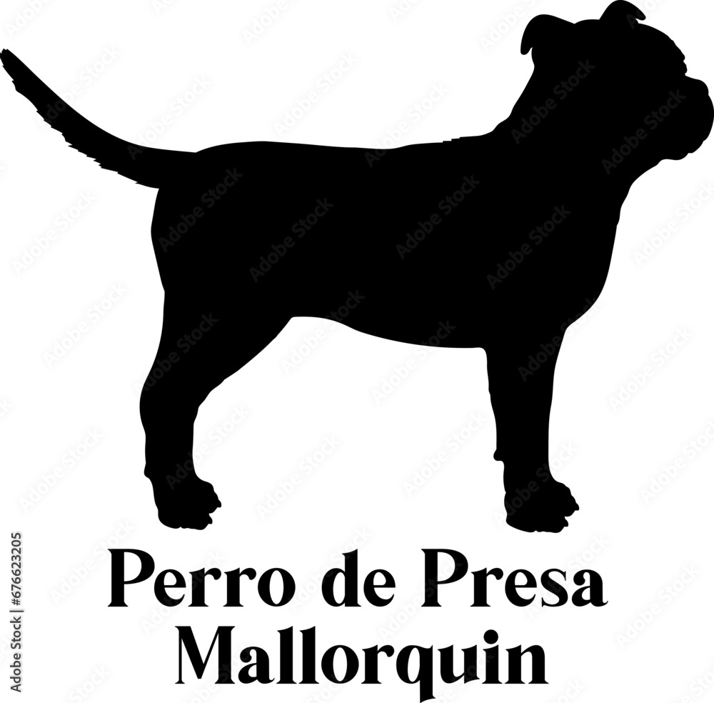 Perro de Presa Mallorquin Dog silhouette dog breeds logo dog monogram logo dog face vector
SVG PNG EPS Perro de Presa Mallorquin Dog silhouette dog breeds logo dog monogram logo dog face vector
SVG PNG EPS