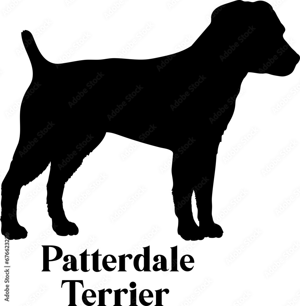 Patterdale Terrier. Dog silhouette dog breeds logo dog monogram logo dog face vector
SVG PNG EPS