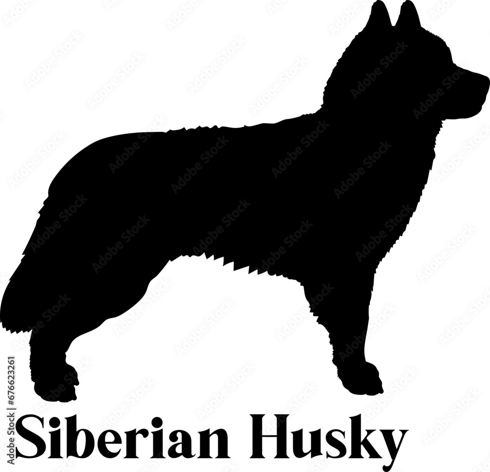 Siberian Husky Dog silhouette dog breeds logo dog monogram logo dog face vector
SVG PNG EPS