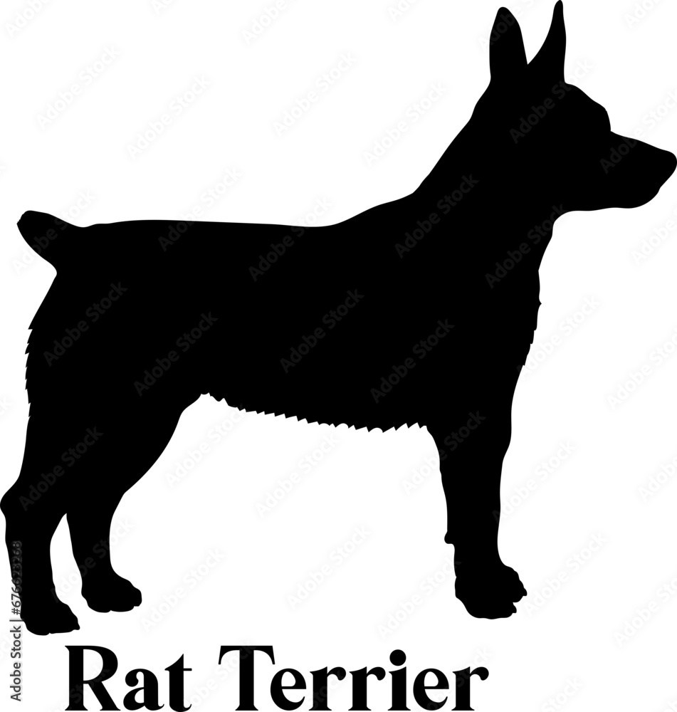 Rat Terrier. Dog silhouette dog breeds logo dog monogram logo dog face vector
SVG PNG EPS