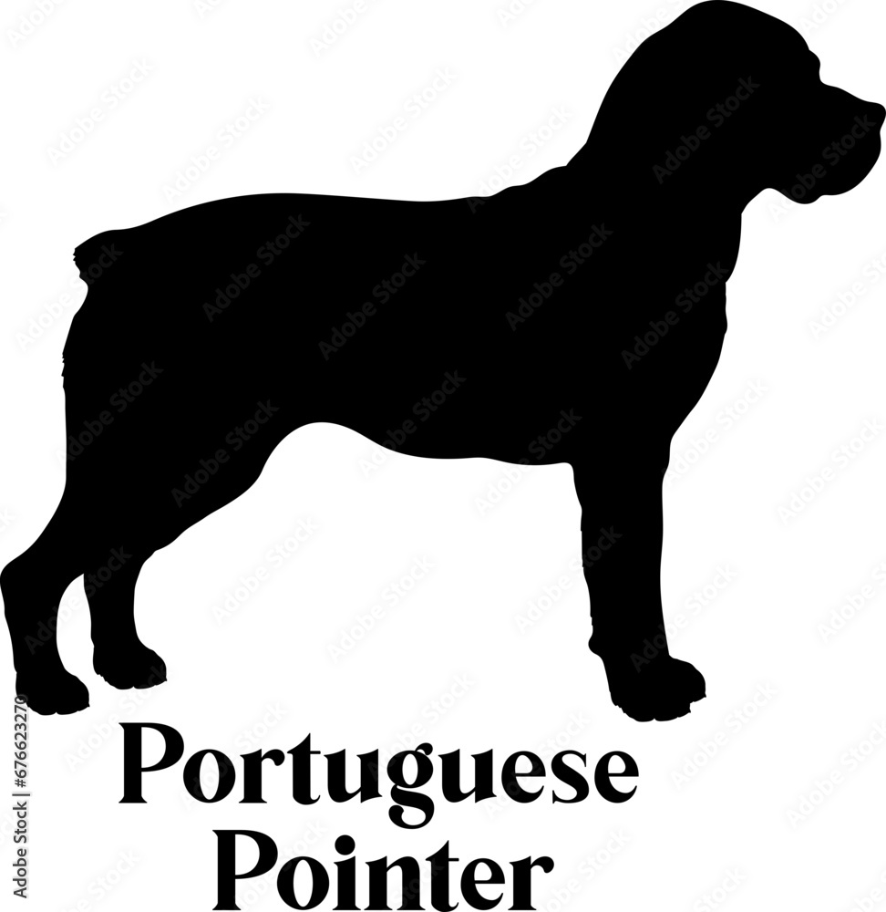 Portuguese Pointer Dog silhouette dog breeds logo dog monogram logo dog face vector
SVG PNG EPS