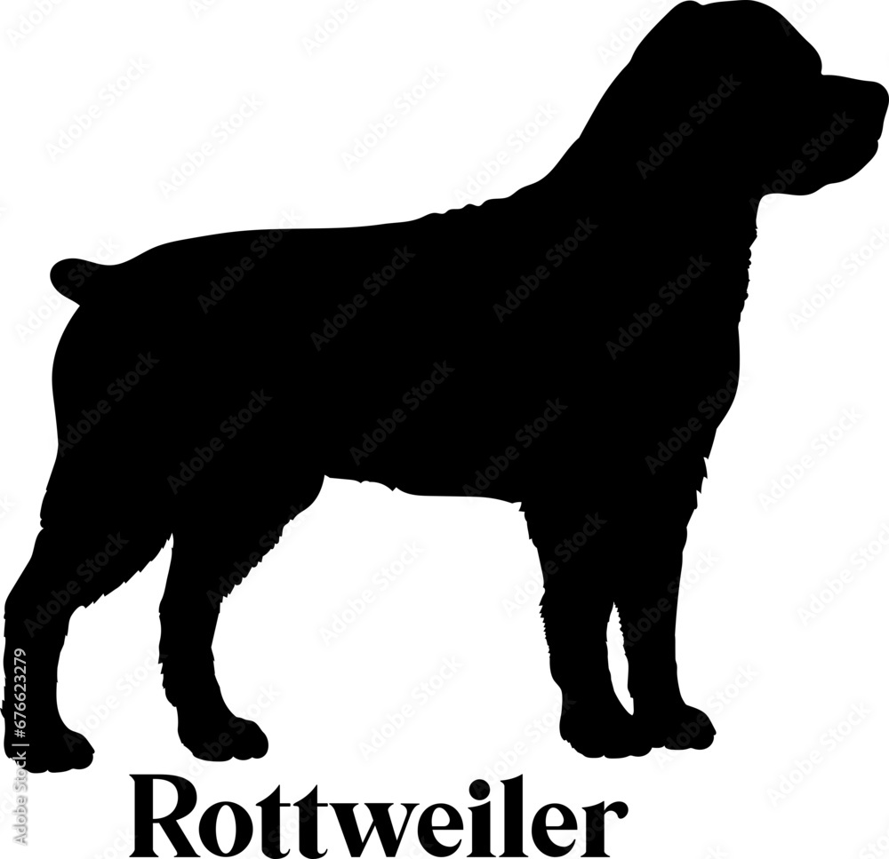 Rottweiler Dog silhouette dog breeds logo dog monogram logo dog face vector
SVG PNG EPS