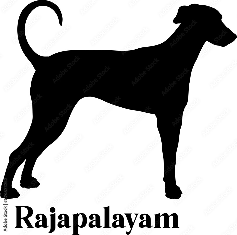 Rajapalayam Dog silhouette dog breeds logo dog monogram logo dog face vector
SVG PNG EPS
