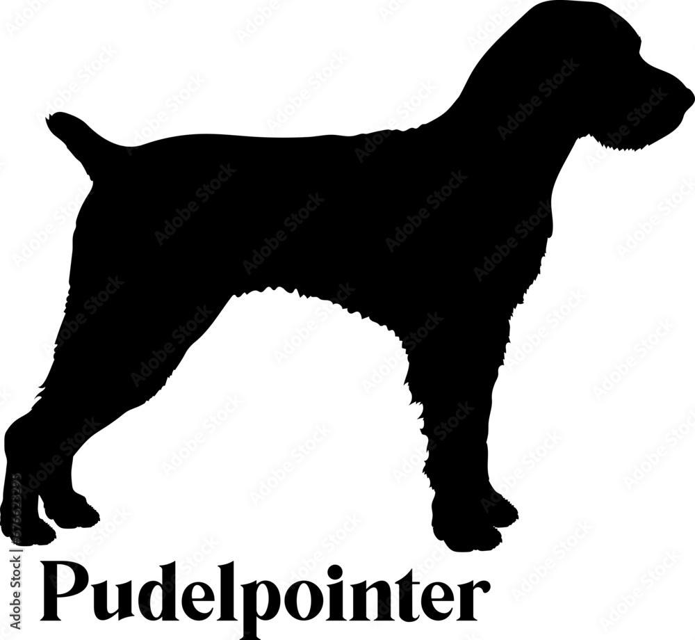 Pudelpointer Dog silhouette dog breeds logo dog monogram logo dog face vector
SVG PNG EPS