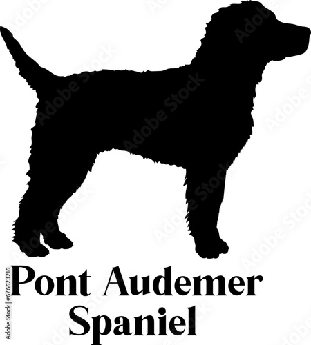  Pont Audemer Spaniel Dog silhouette dog breeds logo dog monogram logo dog face vector
SVG PNG EPS