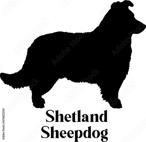 Shetland Sheepdog Dog silhouette dog breeds logo dog monogram logo dog face vector
SVG PNG EPS