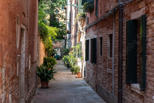Buildings with potted plants in Venice. Charming facade with shutters. Paved sidewalk © Renata