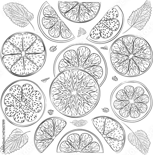 Line art illustration of lemon and lime wedges with mint leaves. 
Vector illustration of fresh citrus cuts of lemon and lime pieces flavored with mint leaves. Lemon and lime slices and mint in vector.