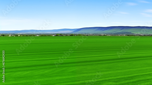 Landscape view of reen grass field Infront of the mountain and sky on background © Phichet1991