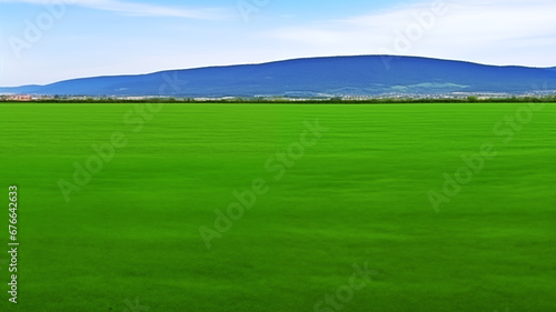 Landscape view of reen grass field Infront of the mountain and sky on background