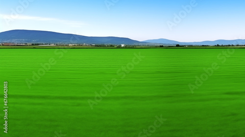 Landscape view of reen grass field Infront of the mountain and sky on background