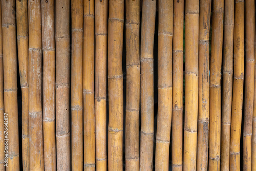 Fototapeta Naklejka Na Ścianę i Meble -  Yellow bamboo plank texture background.
