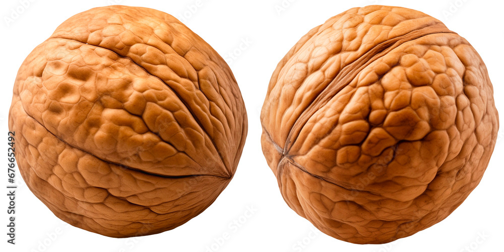 The walnut on a transparent background The walnut on a transparent background