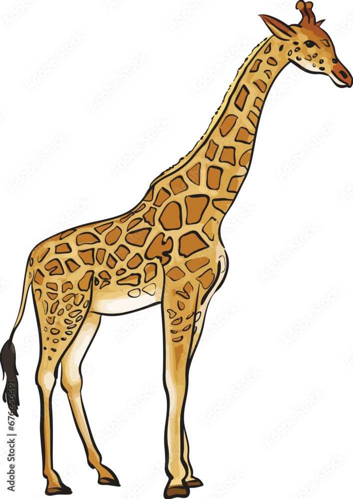 Obraz premium The cartoon Giraffe